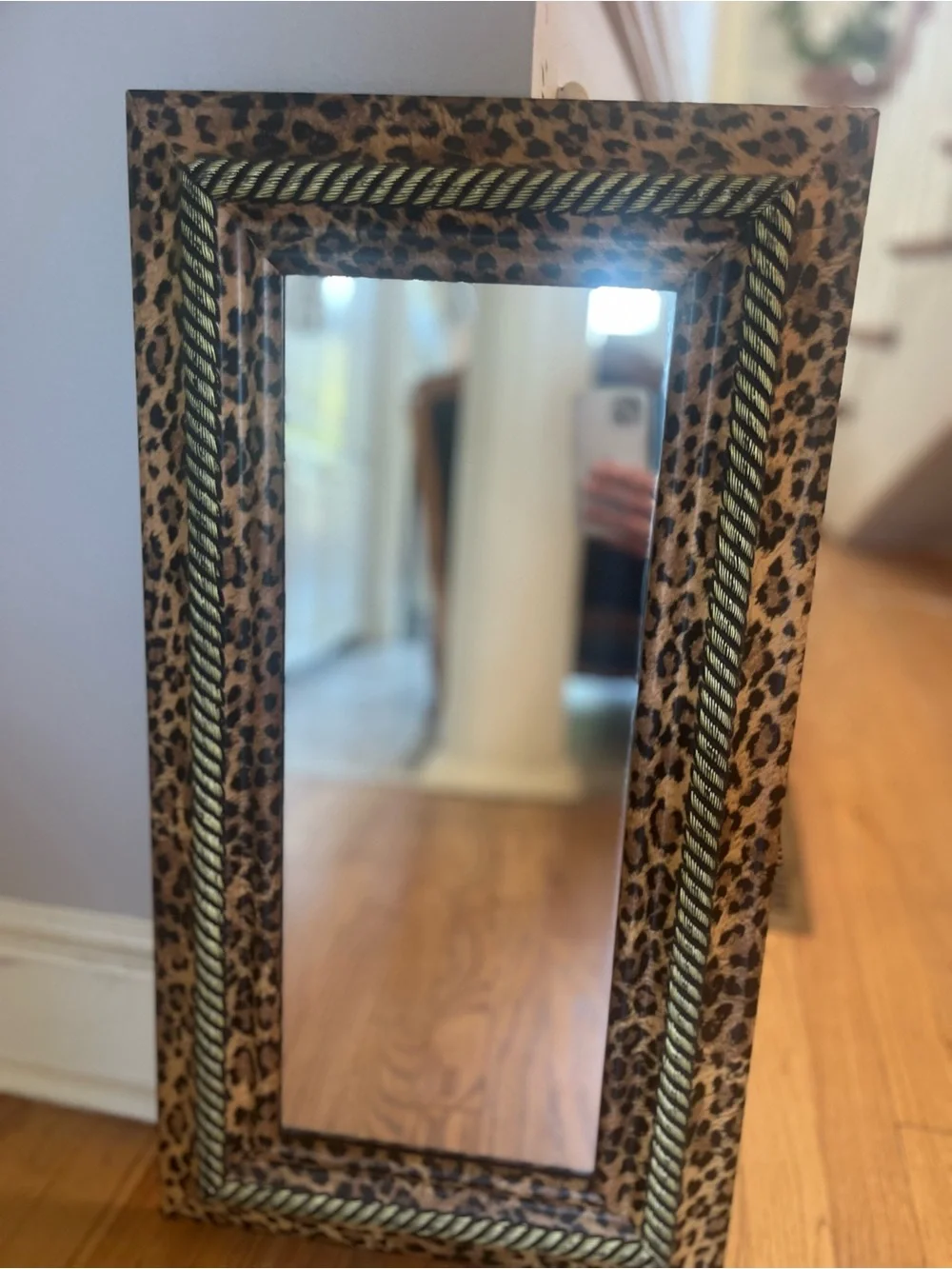 Ornate Decorative Leopard Print and Gold Trimmed Wall Mirror 14x26”